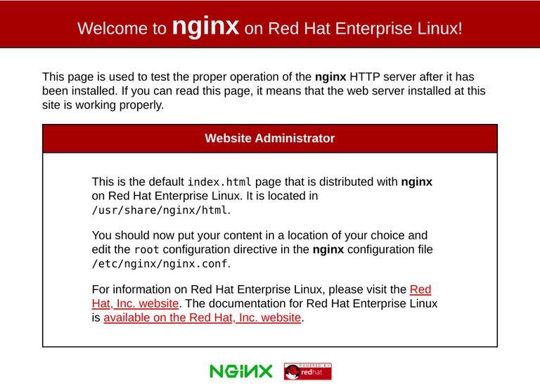 Nginx index html